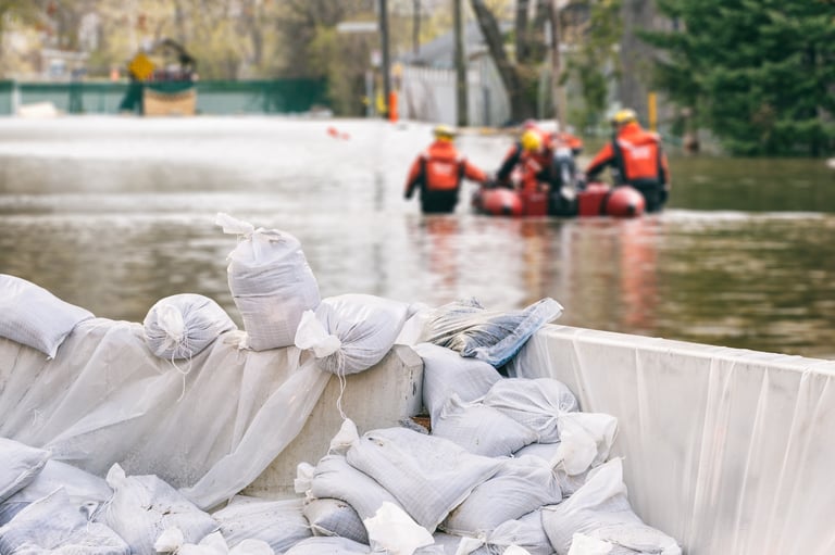 More than 1,000 deaths and $370 billion in damages were associated with hurricanes in 2017.