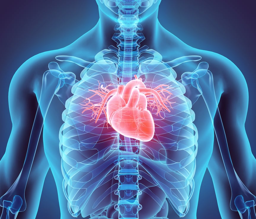 February Heart Month Recap