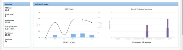 Road Safety Grading Report
