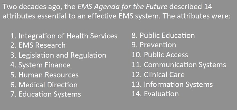 EMS Agenda for the Future