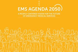 EMS Agenda 2050